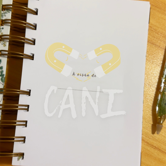 Box- O teu momento (verde)