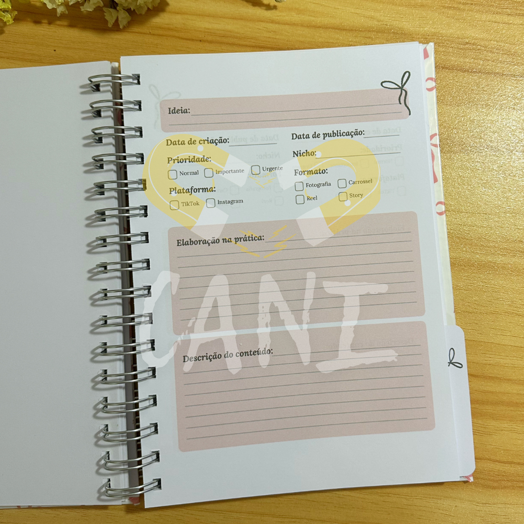 Diário de Conteúdos