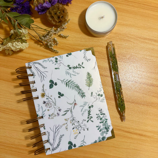 Box- O teu momento (verde)