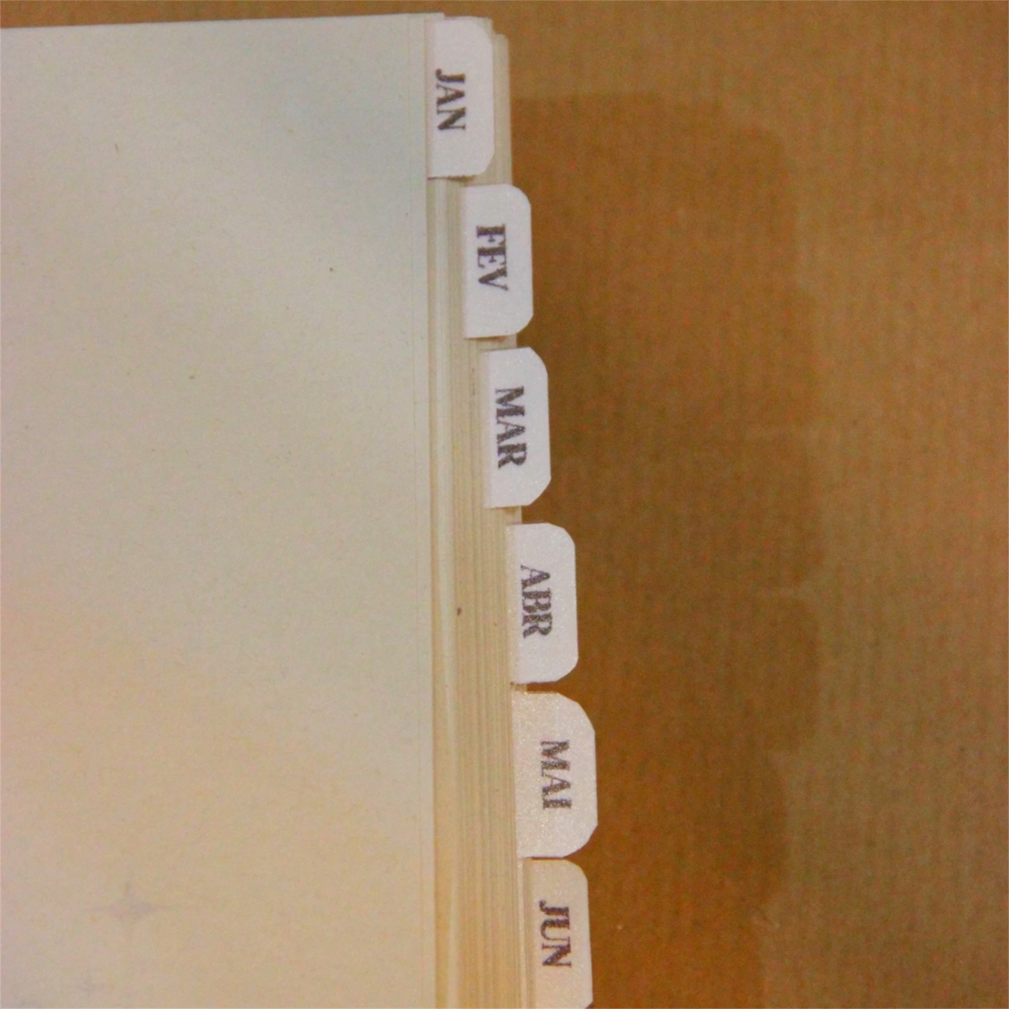 Bullegenda Diária 2026- Azul & Branca