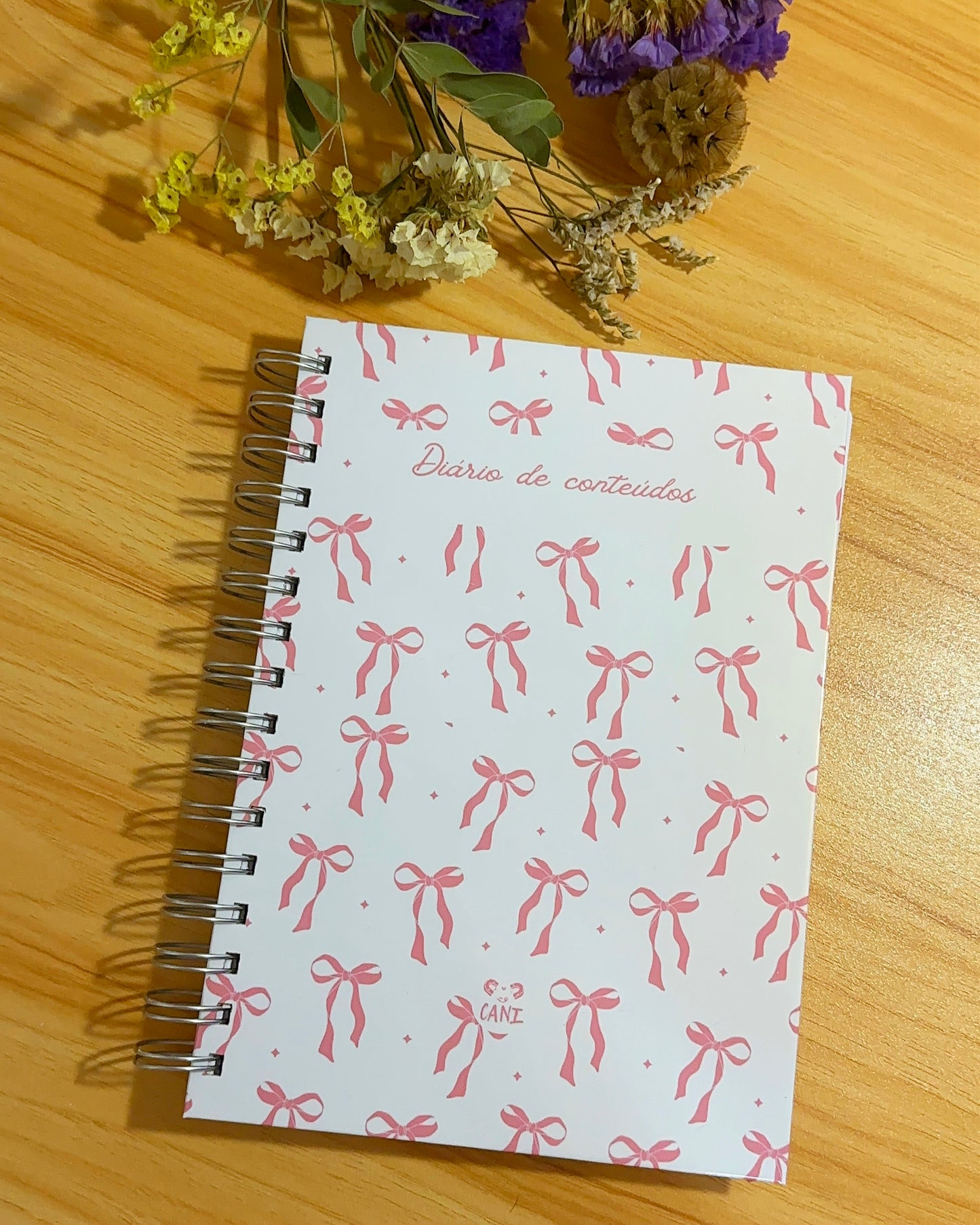 Diário de Conteúdos