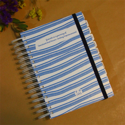 Bullegenda Diária 2026- Rosa & Bordô