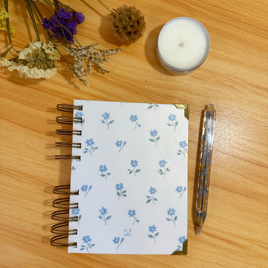 Box- O teu momento (azul)