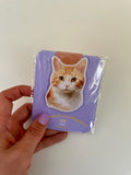 Marcador de Livro Magnético Gato Laranja