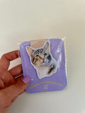 Marcador de Livro Magnético Gato Malhado