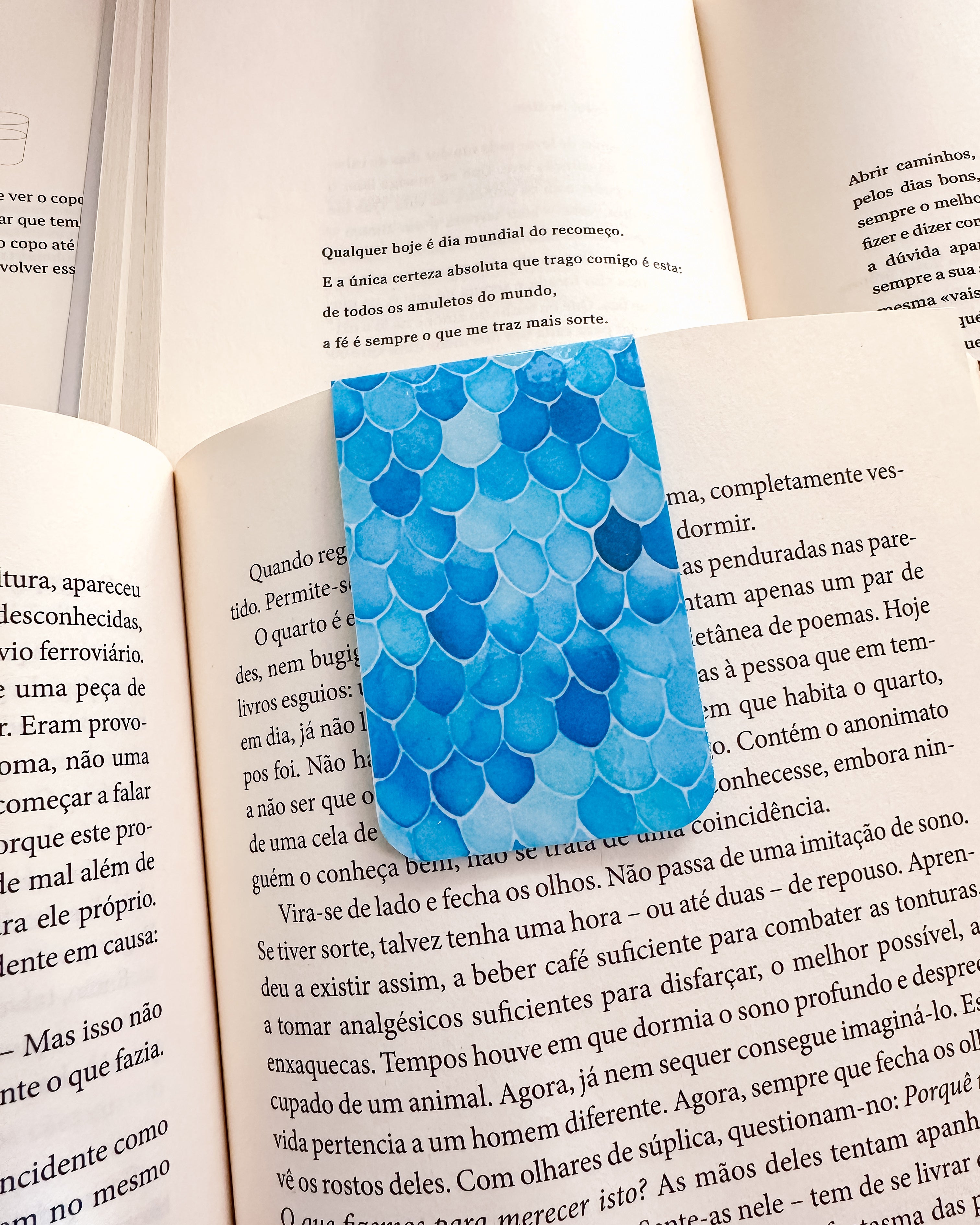 Marcador de Livro Magnético Escamas