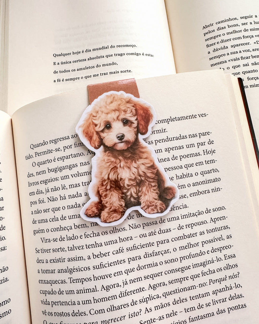 Marcador de Livro Magnético Poodle