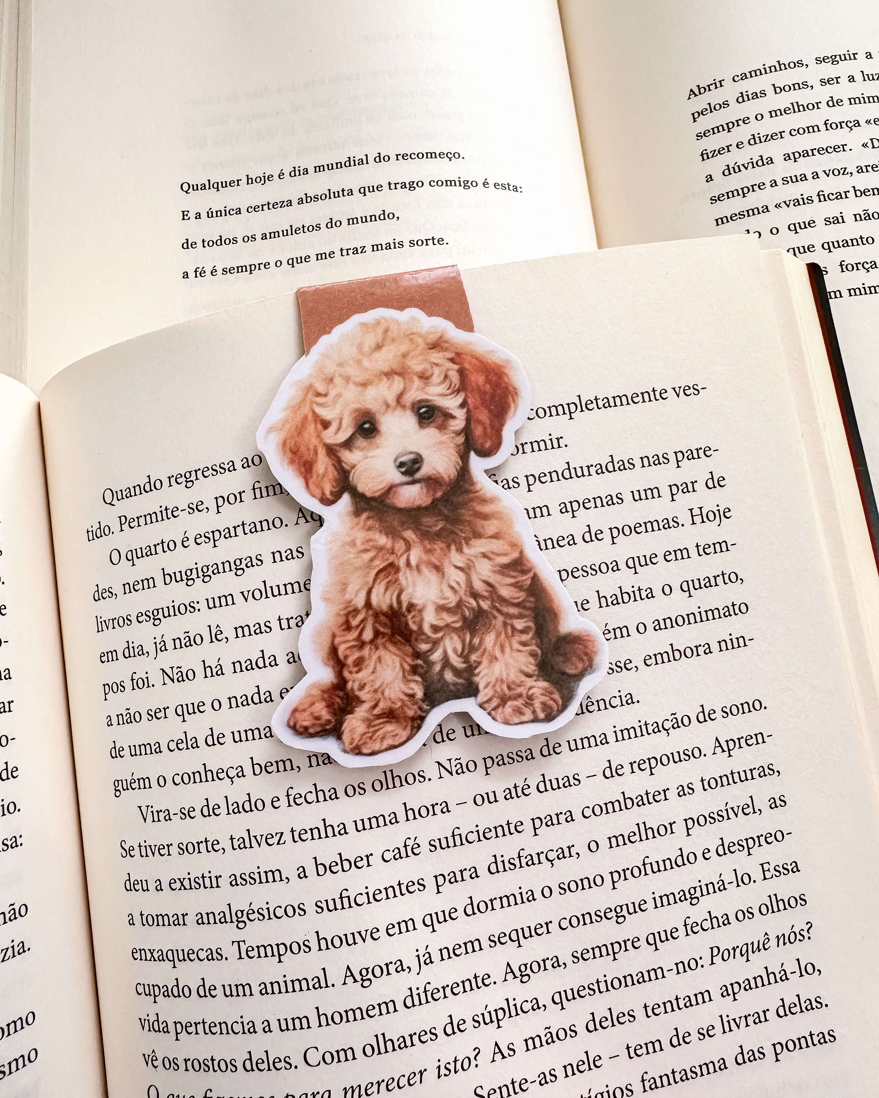 Marcador de Livro Magnético Poodle