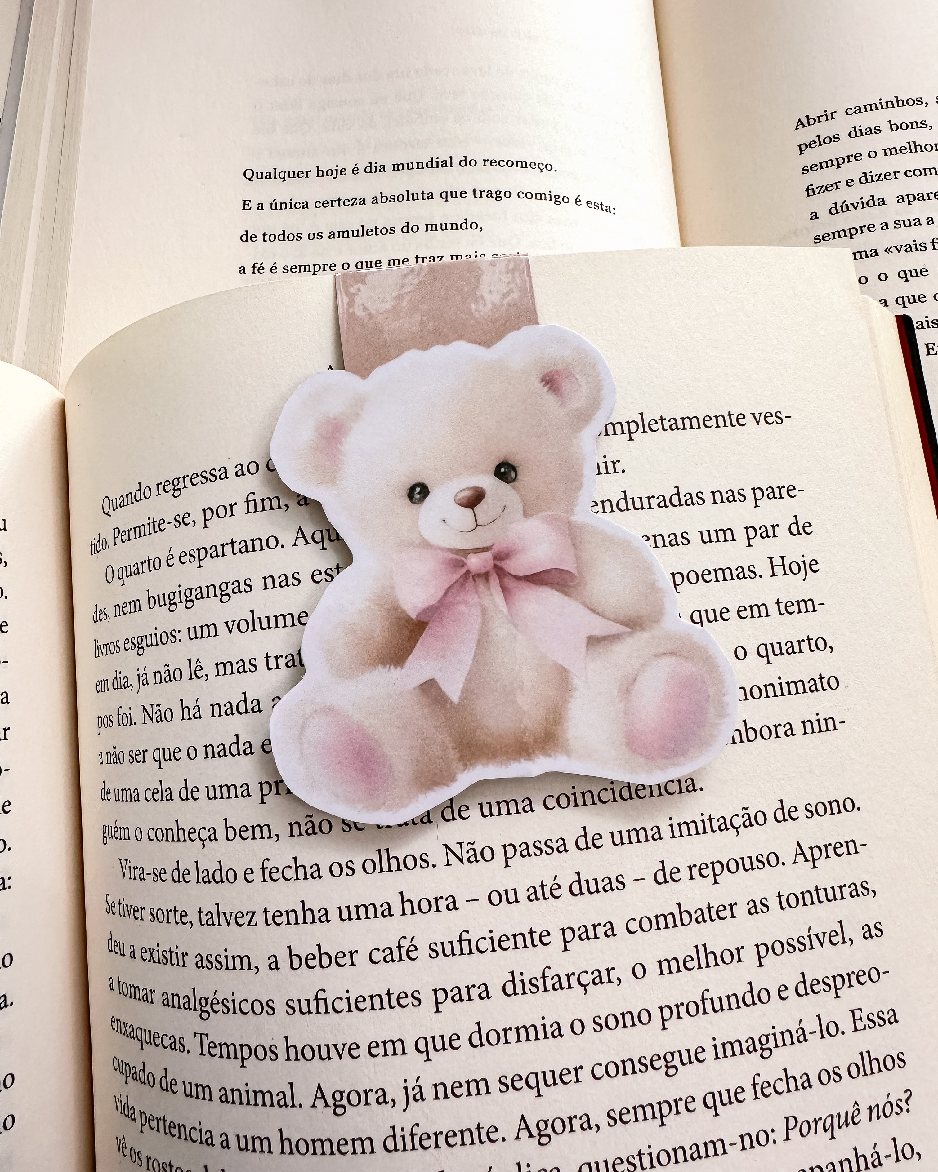 Marcador de Livro Magnético Peluche