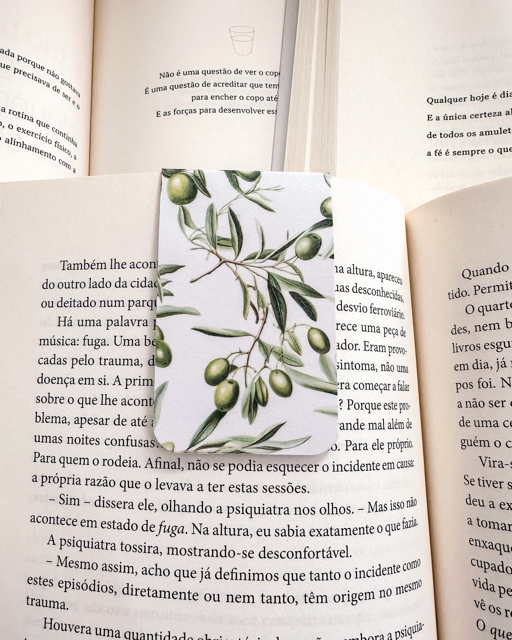 Marcador de Livro Magnético Azeitonas