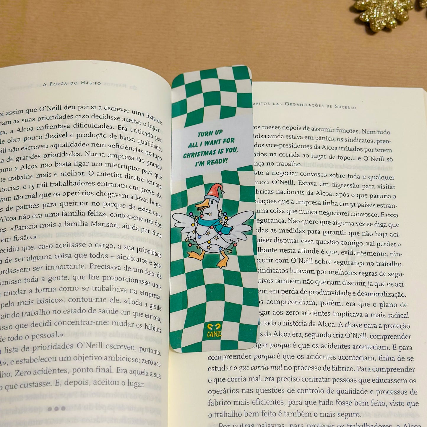 Especial Natal- Marcador de Livro